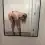 rubythestallion